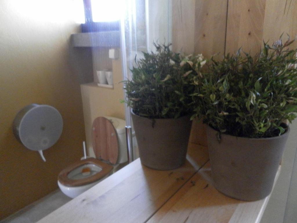Lemon Tree Hostel Areia Branca Chambre photo