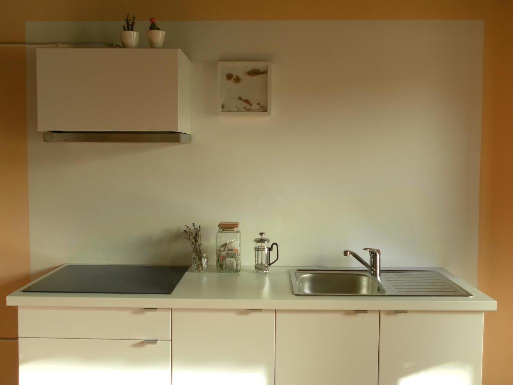 Lemon Tree Hostel Areia Branca Extérieur photo