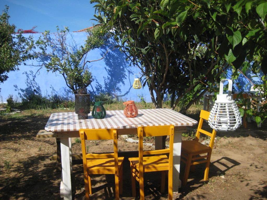 Lemon Tree Hostel Areia Branca Chambre photo